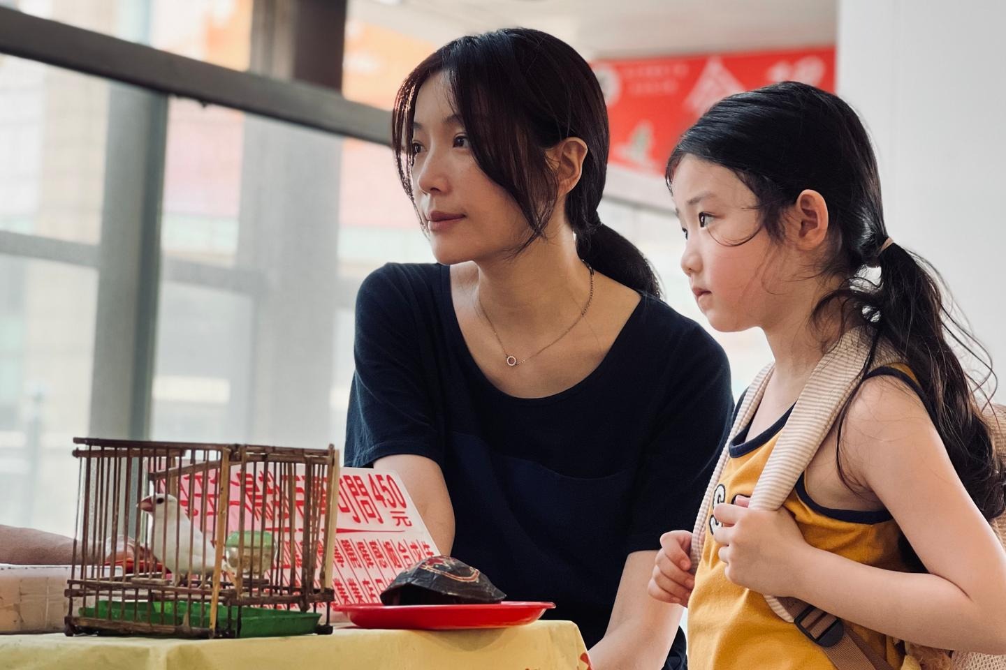 Left Handed Girl – DVD