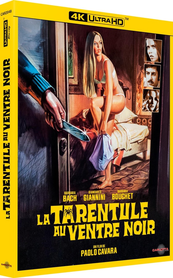 La Tarentule au ventre noir - 4K Ultra HD