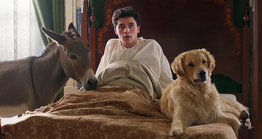 L’Arbre de la connaissance – DVD