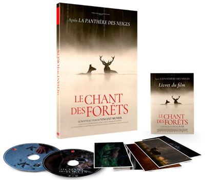 Le Chant des forêts - Combo Blu-ray + DVD