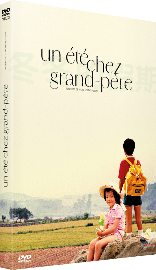 Un été chez grand-père - DVD