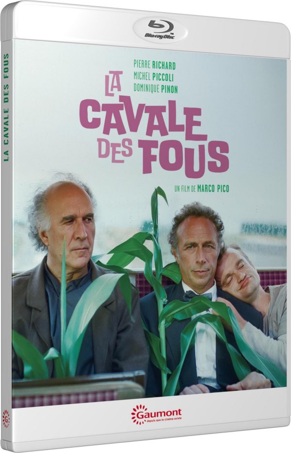 La Cavale des fous - Blu-ray