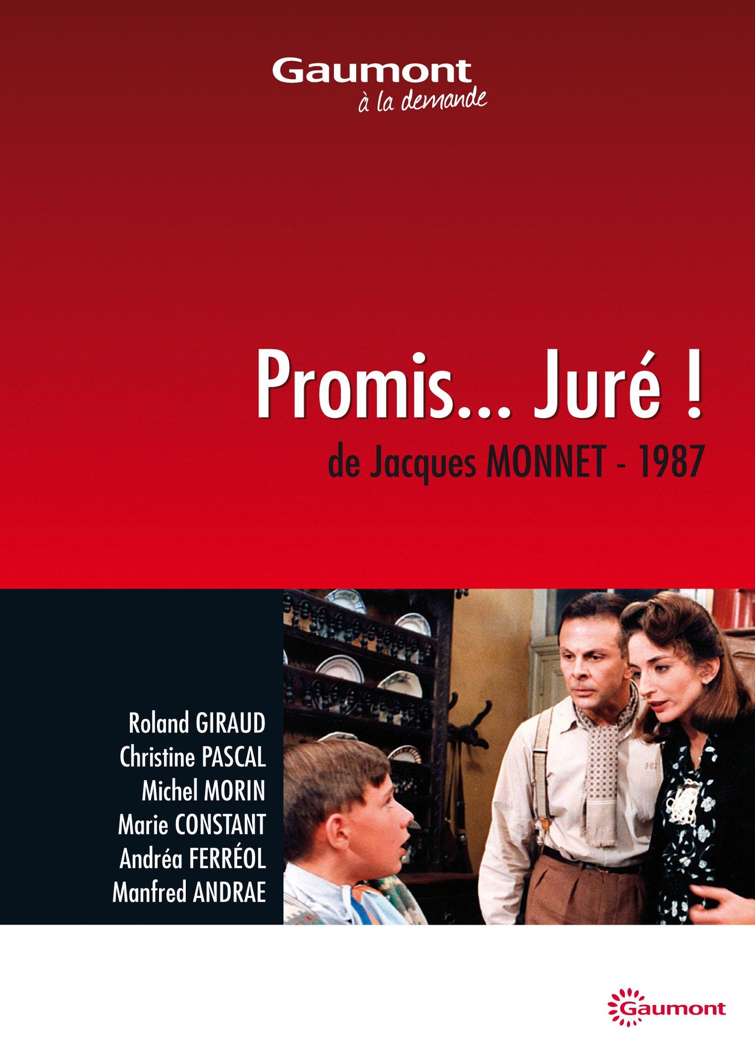 Promis… Juré ! – DVD